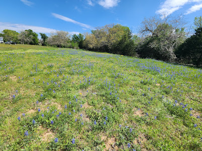 0 Fm 812 Road Cedar Creek, TX 78612 - Photo 5 of 7 A gently sloping meadow, adorned with wildflowers, awaits your vision under a broad blue sky.