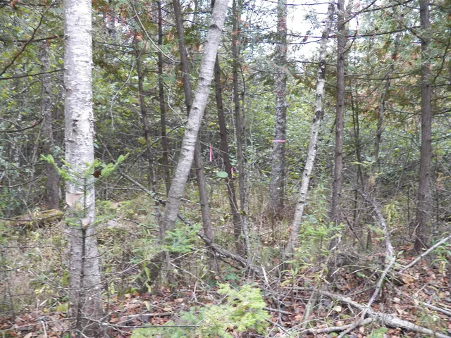 $275,000 | Hoyt Road, Lena, WI 54139