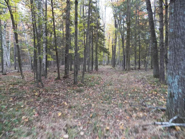 $275,000 | Hoyt Road, Lena, WI 54139