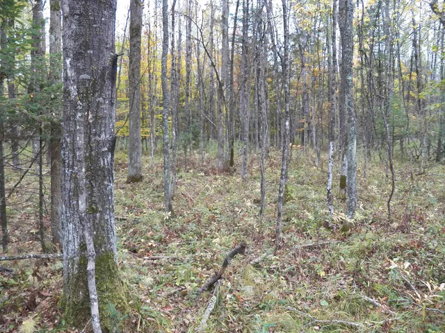 $275,000 | Hoyt Road, Lena, WI 54139