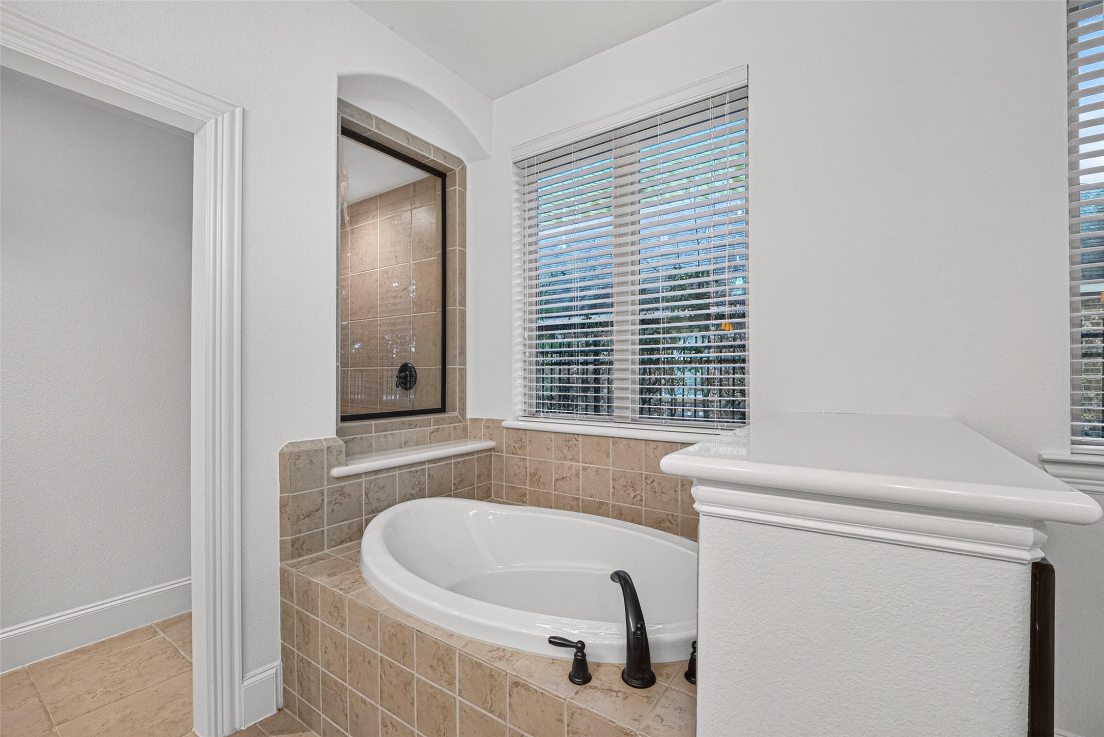 7930 Summer Night Lane Rosenberg, TX 77469 - Photo 24 of 48 Primary bath featuring a relaxing soaking tub, separate vanity area, and abundant natural light.