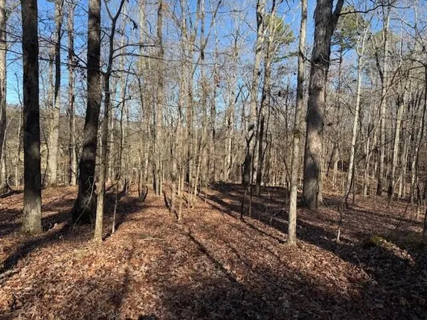 $59,000 | Lot 4 County Road 751, Unit LOT 4, Valley Head, AL 35989