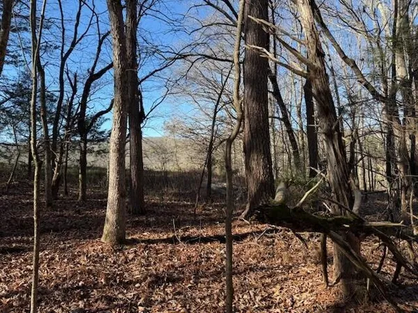 $59,000 | Lot 4 County Road 751, Unit LOT 4, Valley Head, AL 35989
