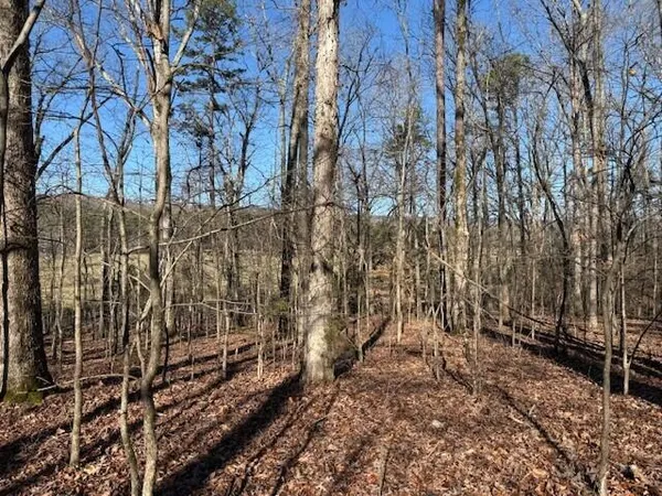$59,000 | Lot 4 County Road 751, Unit LOT 4, Valley Head, AL 35989