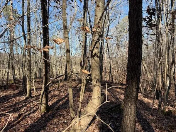 $59,000 | Lot 4 County Road 751, Unit LOT 4, Valley Head, AL 35989