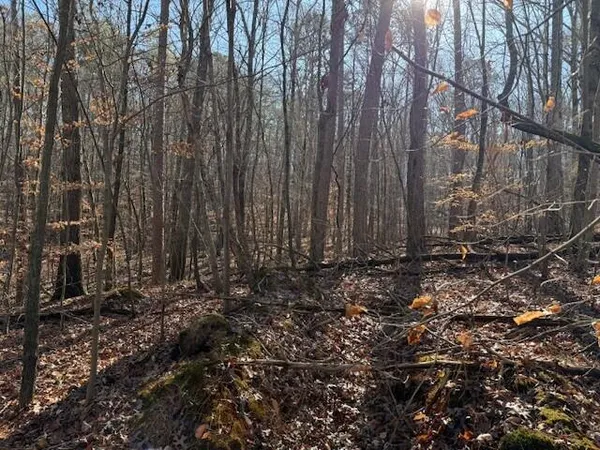$59,000 | Lot 4 County Road 751, Unit LOT 4, Valley Head, AL 35989