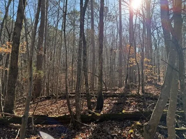 $59,000 | Lot 4 County Road 751, Unit LOT 4, Valley Head, AL 35989