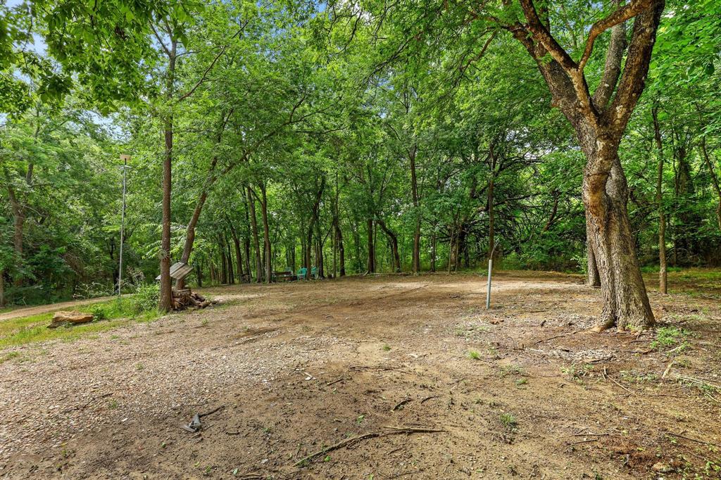 Tbd Ayres Road Bells, TX 75414 - Photo 4 of 21