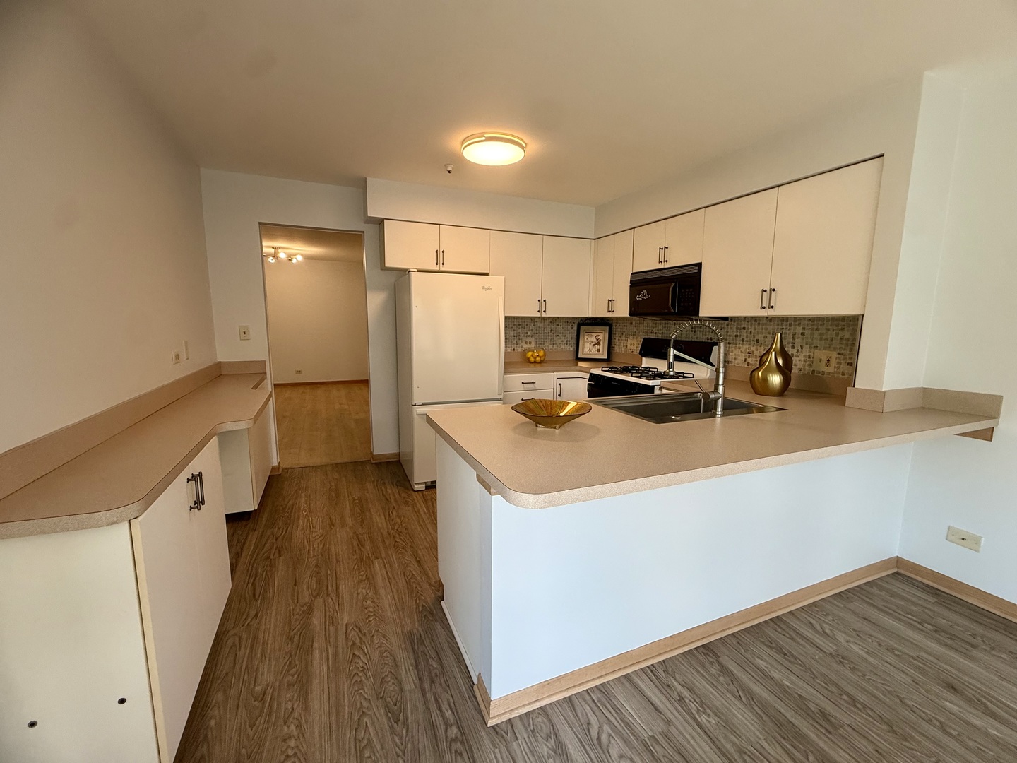 9513 Washington Road Morton Grove, IL 60053 - Photo 6 of 15