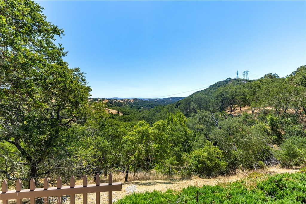 14220 El Monte Road Atascadero, CA 93422 - Photo 51 of 61 a view of a lush green forest with lots of trees