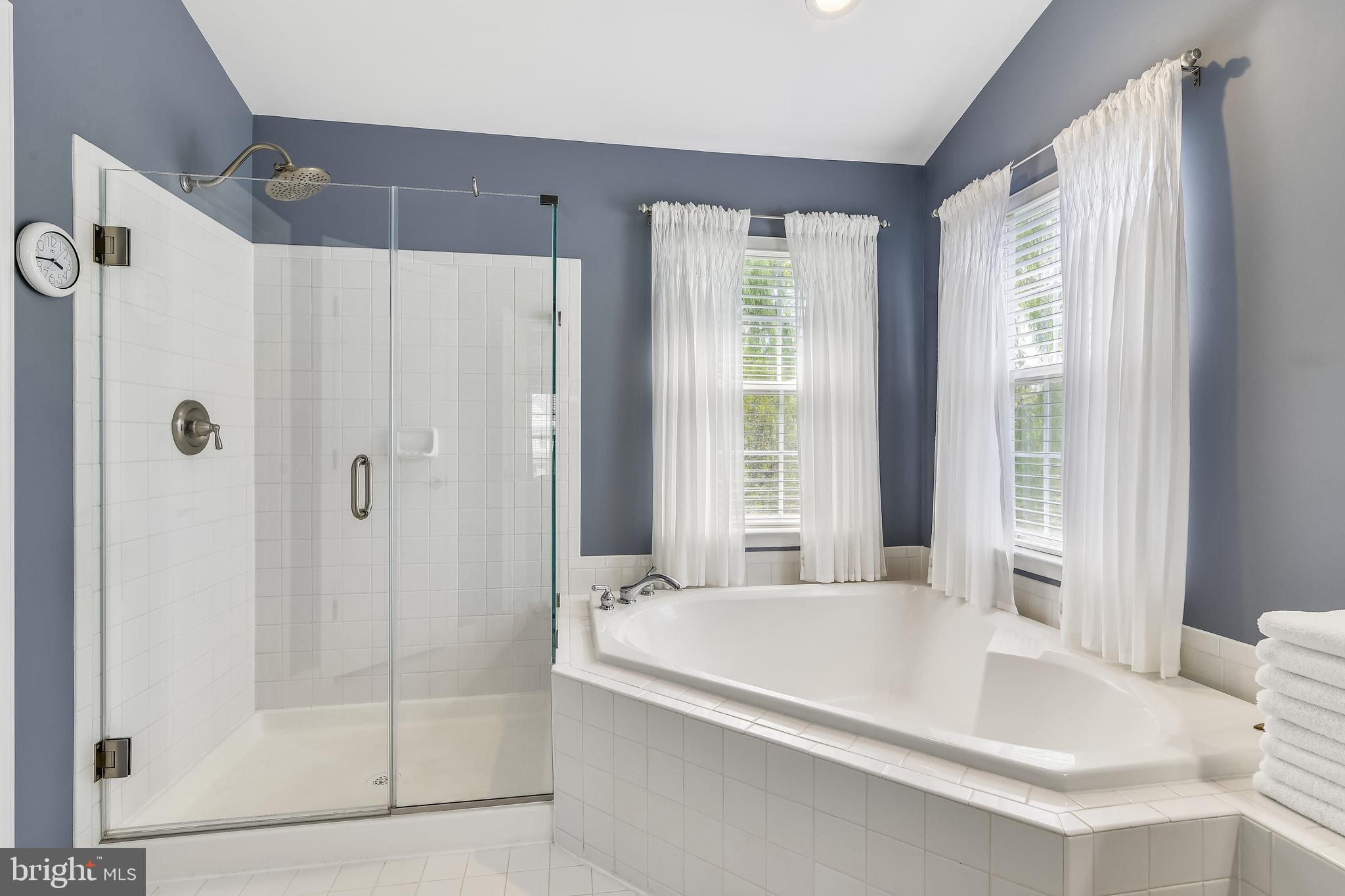 25853 Spring Farm Circle Chantilly, VA 20152 - Photo 34 of 80 Master Separate Shower and Soaking Tub