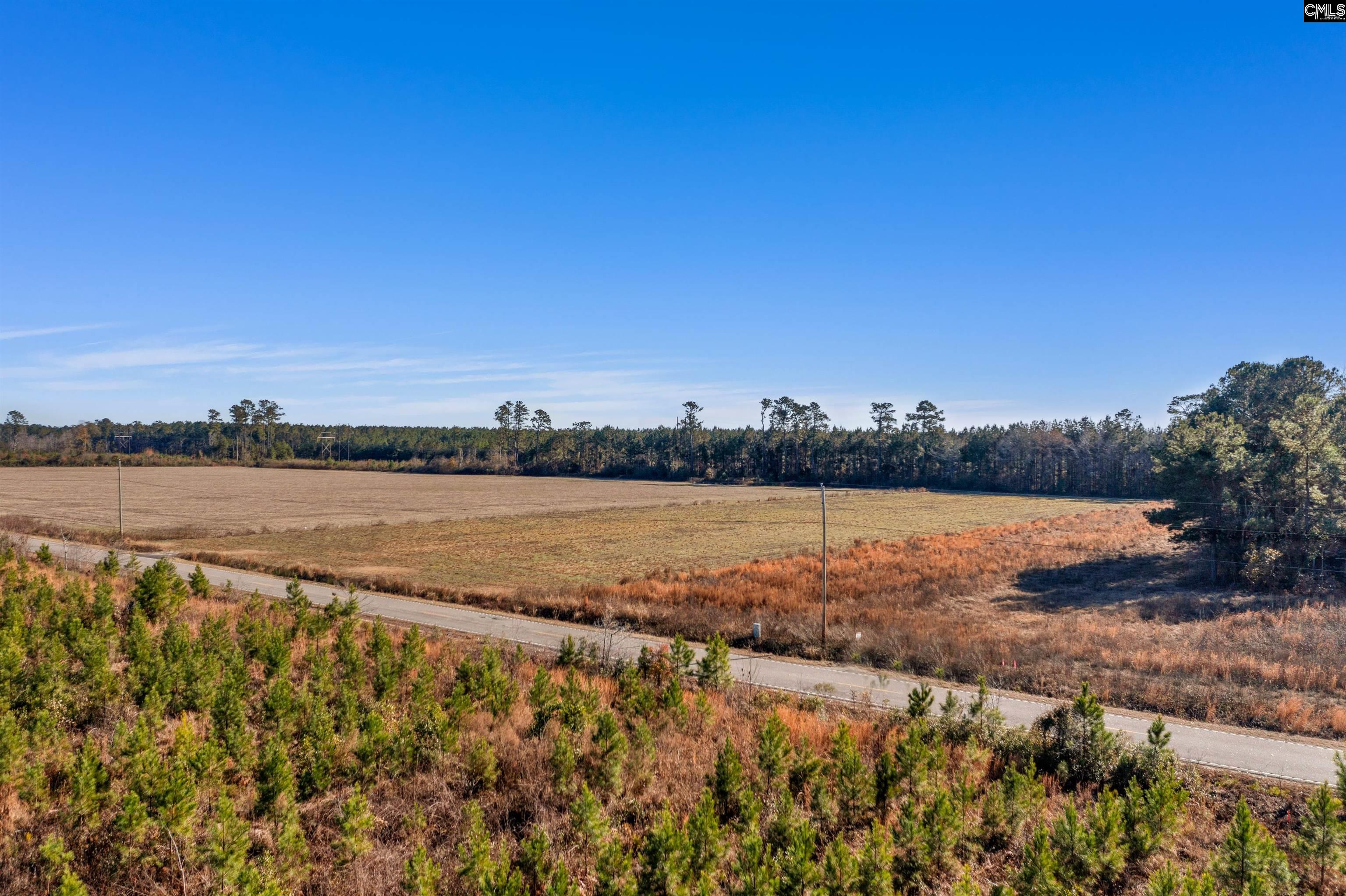1745 Williams Hill Road Hemingway, SC 29554 - Photo 2 of 25