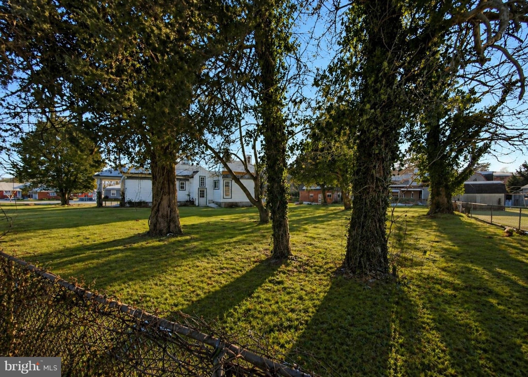 2224 Middleborough Road Essex, MD 21221 - Photo 46 of 50 a view of a garden with a tree
