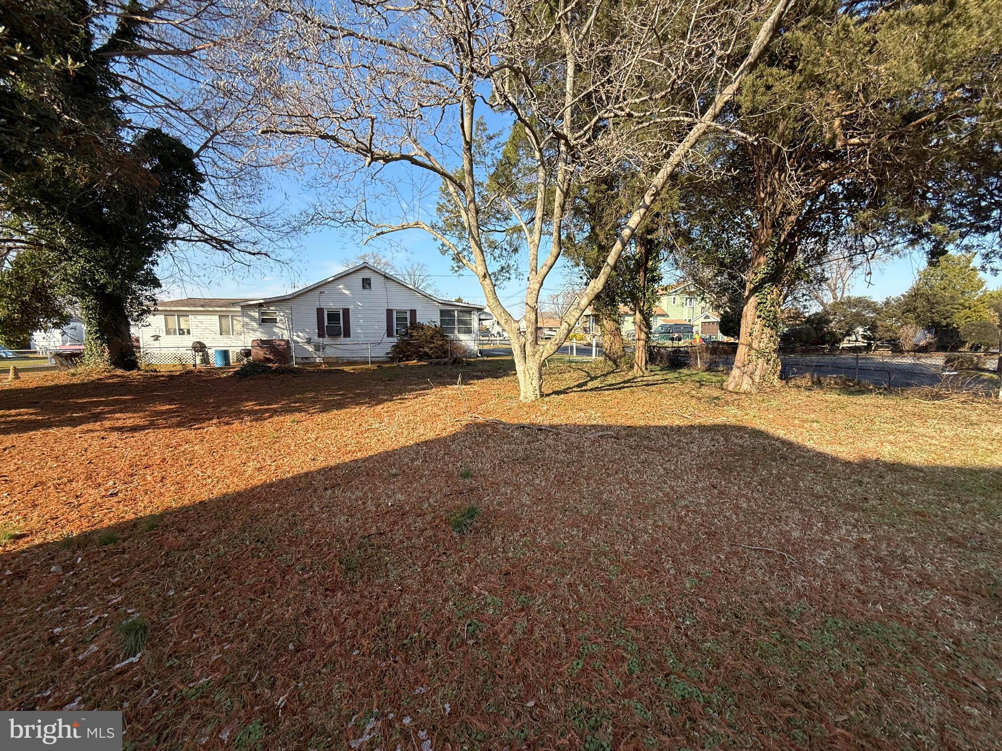 2224 Middleborough Road Essex, MD 21221 - Photo 8 of 36 a view of large yard with large trees