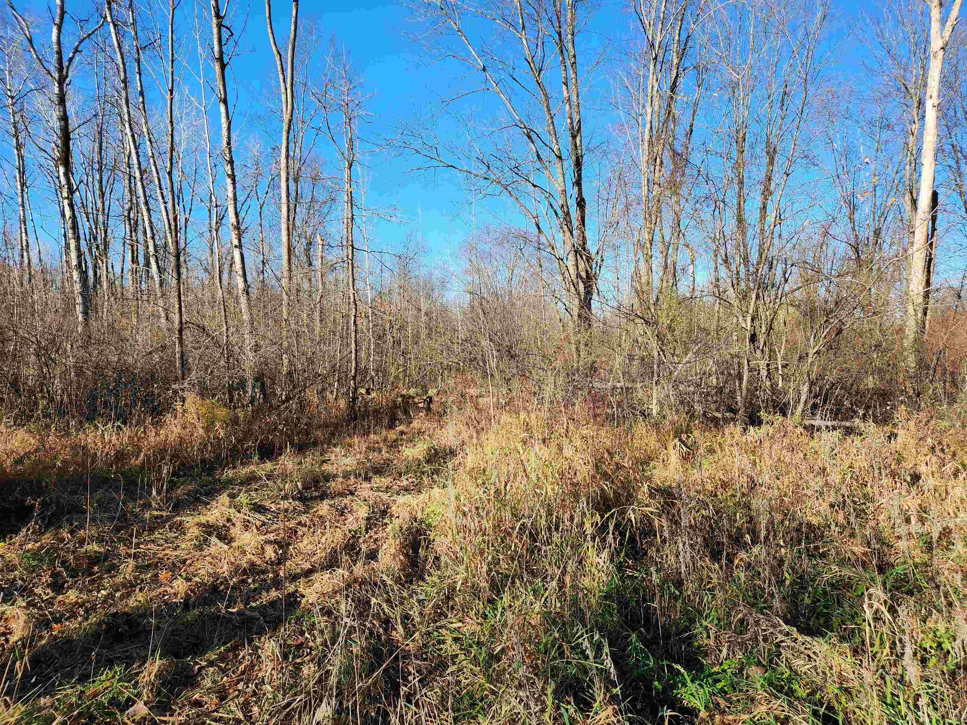 N/a South Crawford Road Omer, MI 48749 - Photo 8 of 8