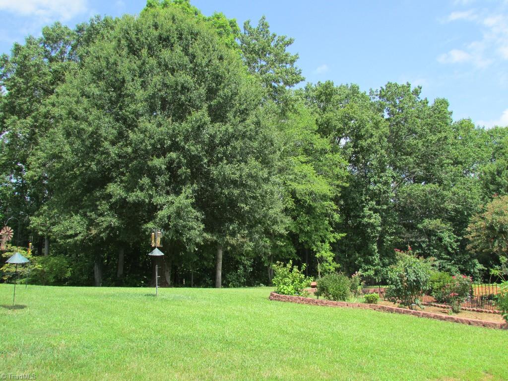 749 Spainhour Road King, NC 27021 - Photo 26 of 30 Gallery Image 26