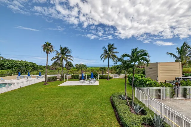 a view of a backyard with plants and palm tree