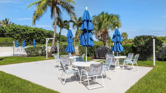 a view of a patio with a table and chairs under an umbrella with palm trees