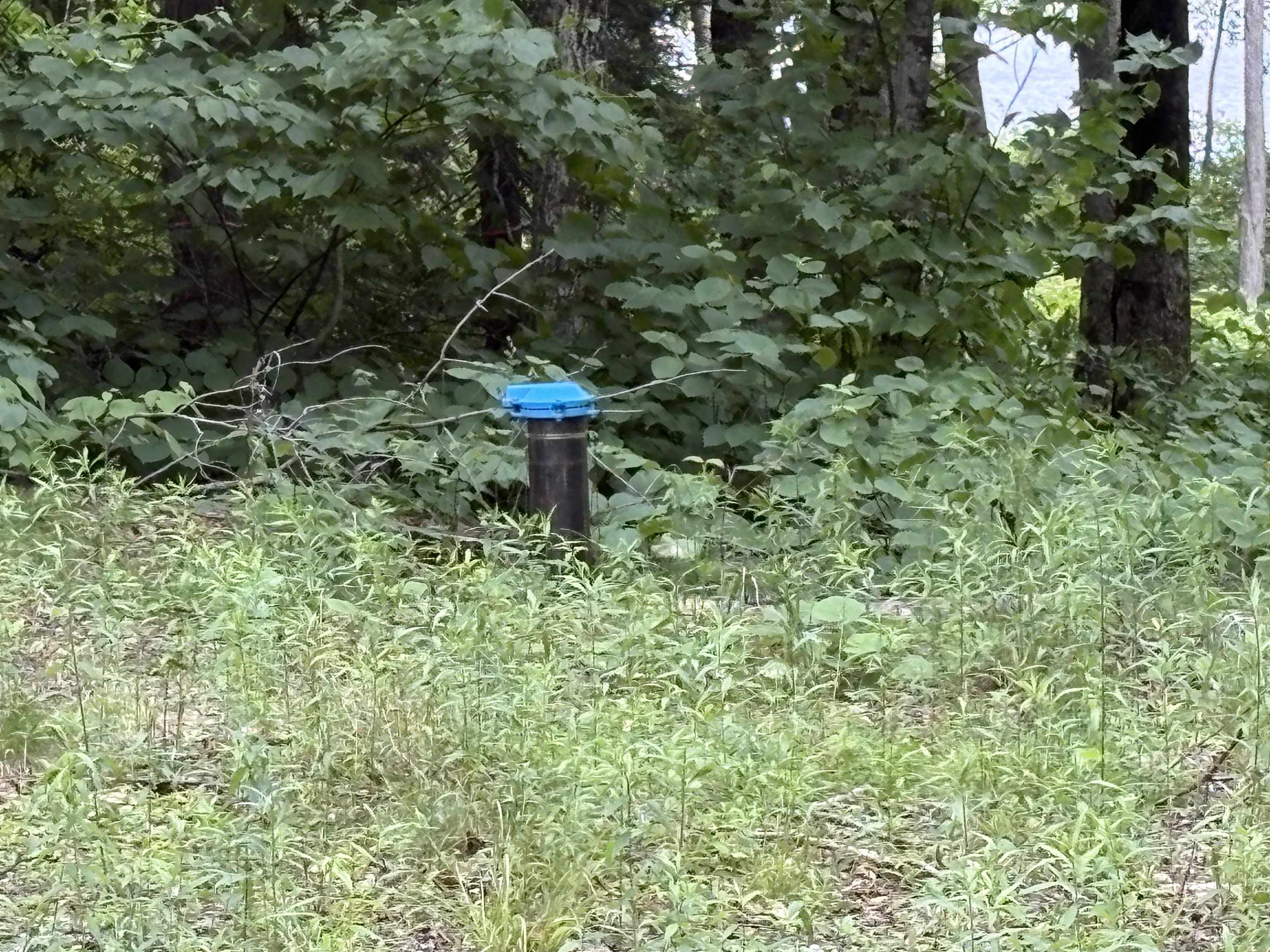 340 Tyanoga Road Whitingham, VT 05361 - Photo 3 of 5