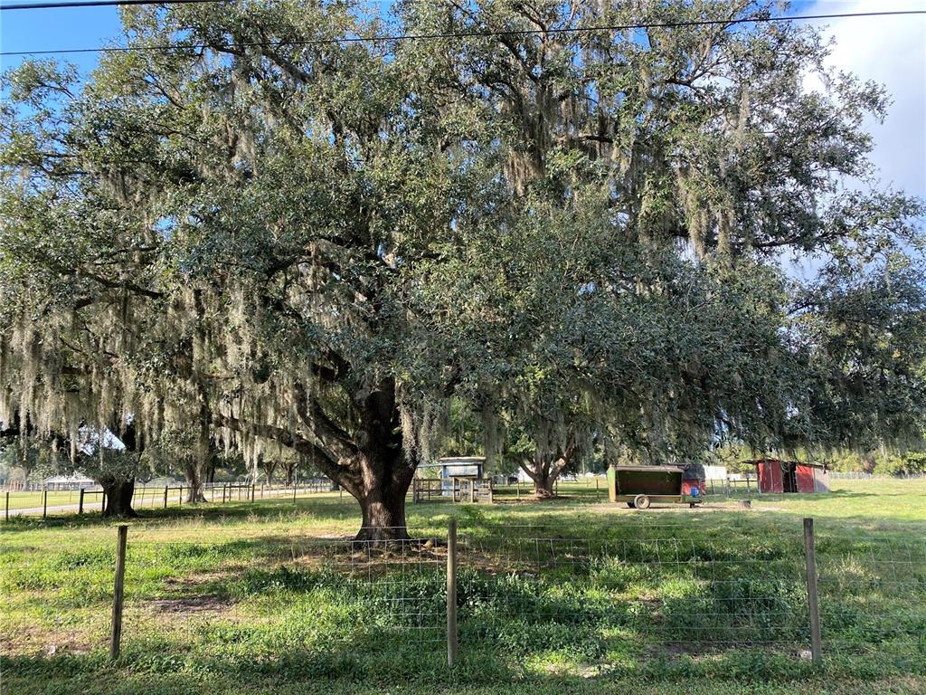 Bryant Road Lakeland, FL 33809 - Photo 1 of 1 Gallery Image 1