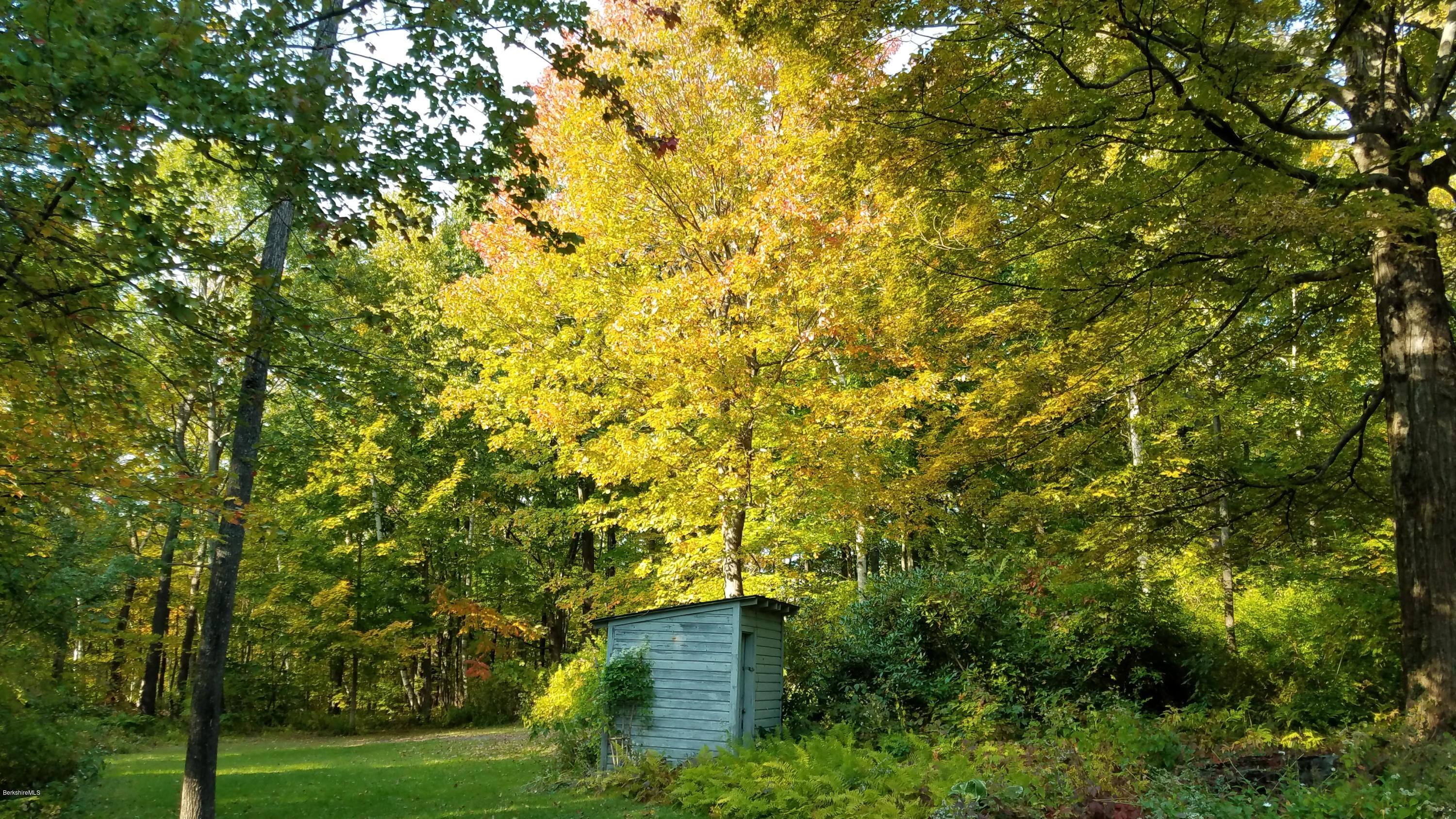 70 Hemlock Road Richmond, MA 01201 - Photo 3 of 9 a view of a big yard with plants and large trees