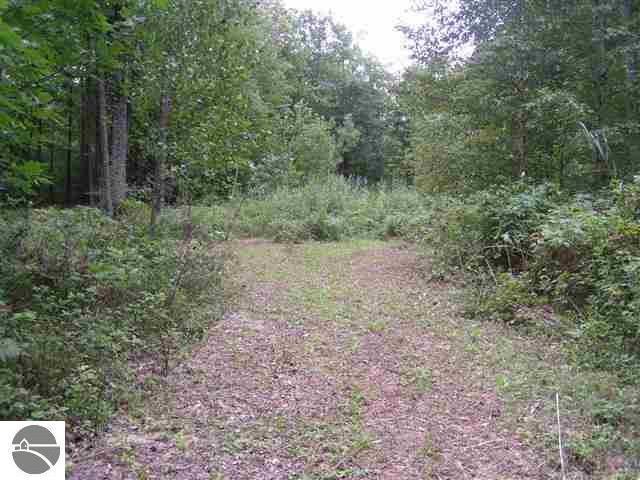 1911 Vaughn Road National City, MI 48748 - Photo 3 of 6 1743016-4.JPG