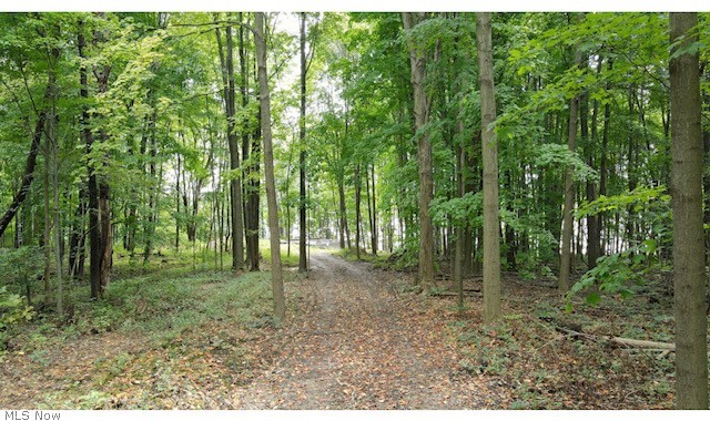 5088 Rootstown Road Ravenna, OH 44266 - Photo 8 of 14 Gallery Image 8