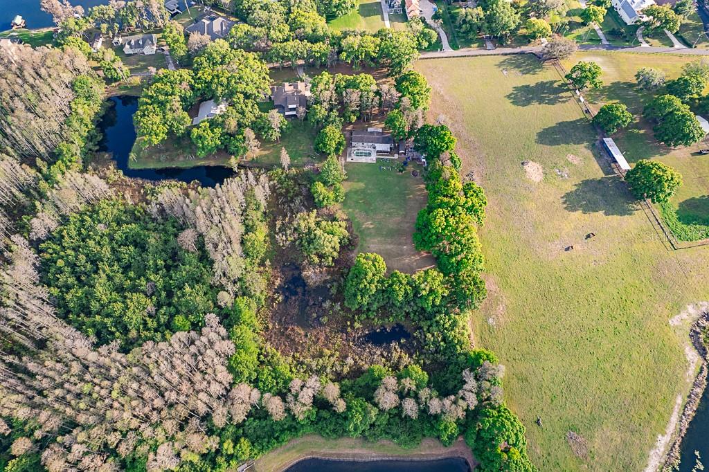 1 Plainview Road, Unit LOT 1 Odessa, FL 33556 - Photo 15 of 16