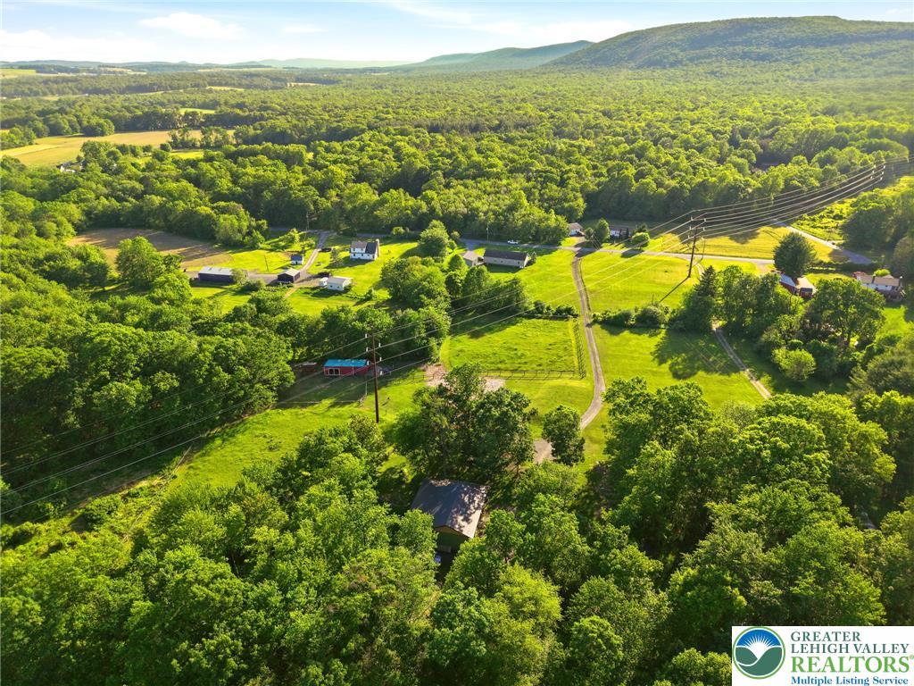 9033 Loop Road Slatington, PA 18080 - Photo 35 of 53 Aerial view captures a sprawling landscape of lush greenery, offering serene rural vistas.