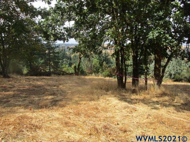 1066 Twin Hills Road Southeast Jefferson, OR 97352 - Photo 7 of 13