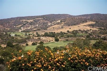 24 Blue Heron Irvine, CA 92603 - Photo 31 of 36