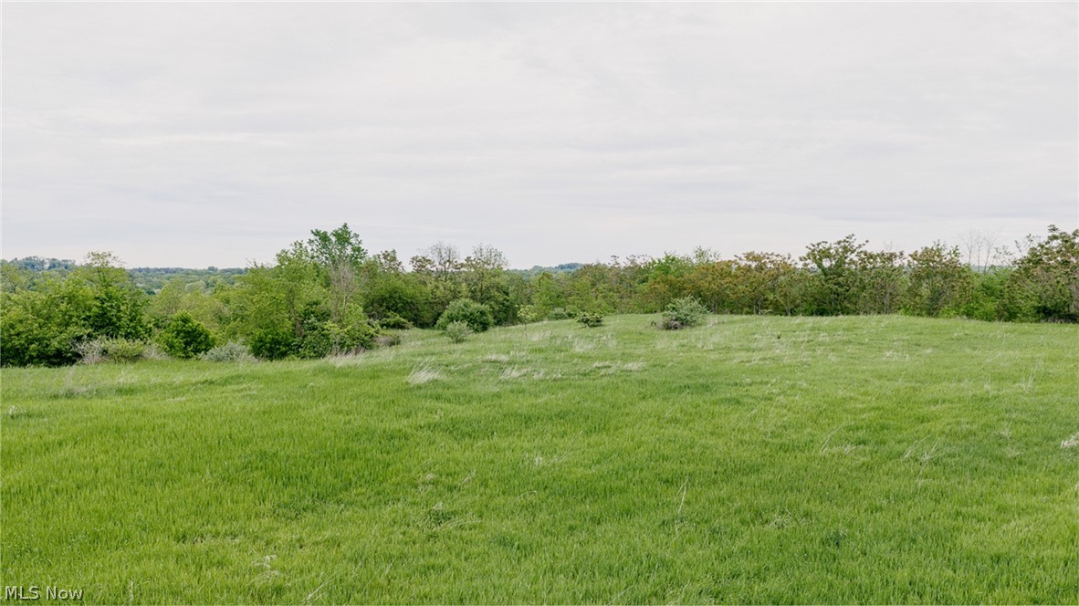 84205 Rose Valley Road Cadiz, OH 43907 - Photo 6 of 19