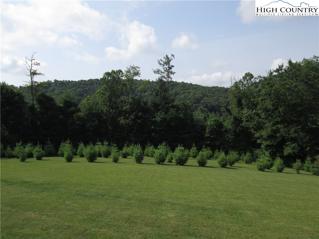 267 Natural Dam Road Sparta, NC 28675 - Photo 13 of 13 Gallery Image 13