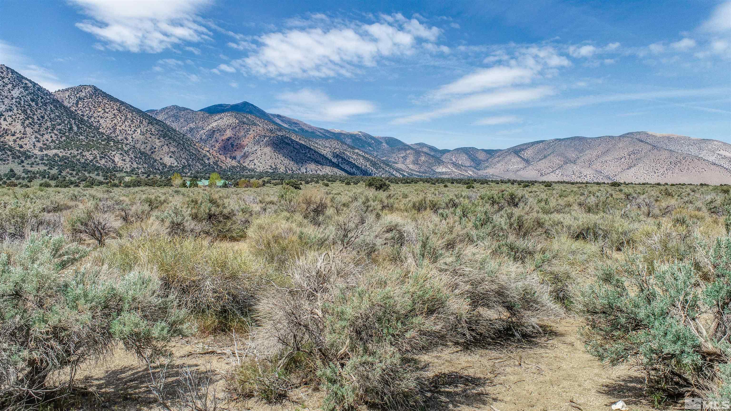 0 Red Canyon Road, Unit 18 Wellington, NV 89444 - Photo 11 of 25 Photo 11