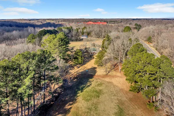 a view of mountains and tree