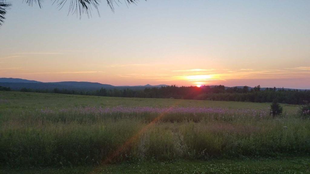 1615 Chapman Road Mapleton, ME 04757 - Photo 19 of 19 Photo