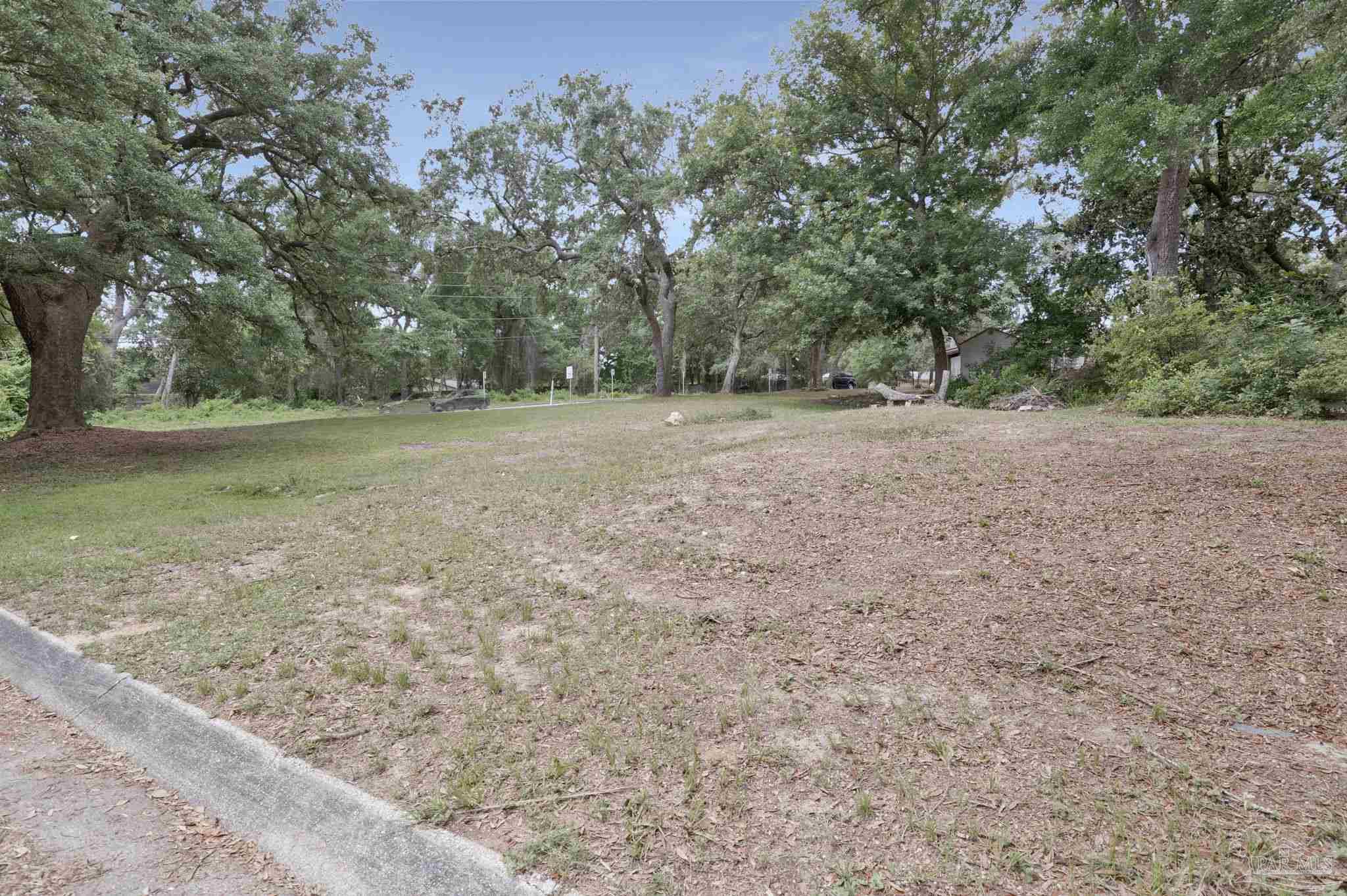 a view of a field with trees in the background