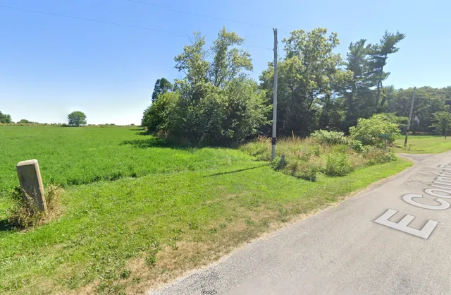 a view of a park with large trees