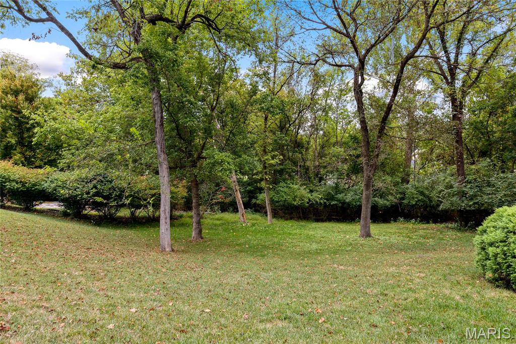 38 Baxter Lane Chesterfield, MO 63017 - Photo 16 of 50