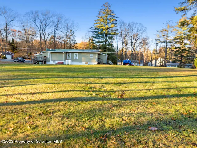 a view of a yard with a tree