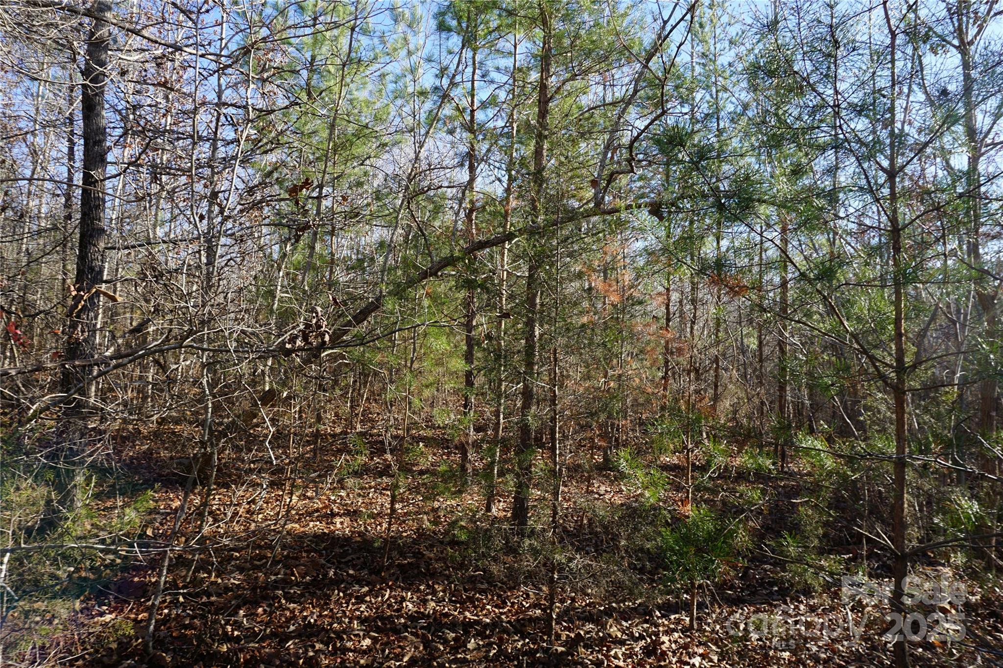 14-ac 14-ac Canipe Road, Unit LOT E Blacksburg, SC 29702 - Photo 11 of 16 a view of a yard