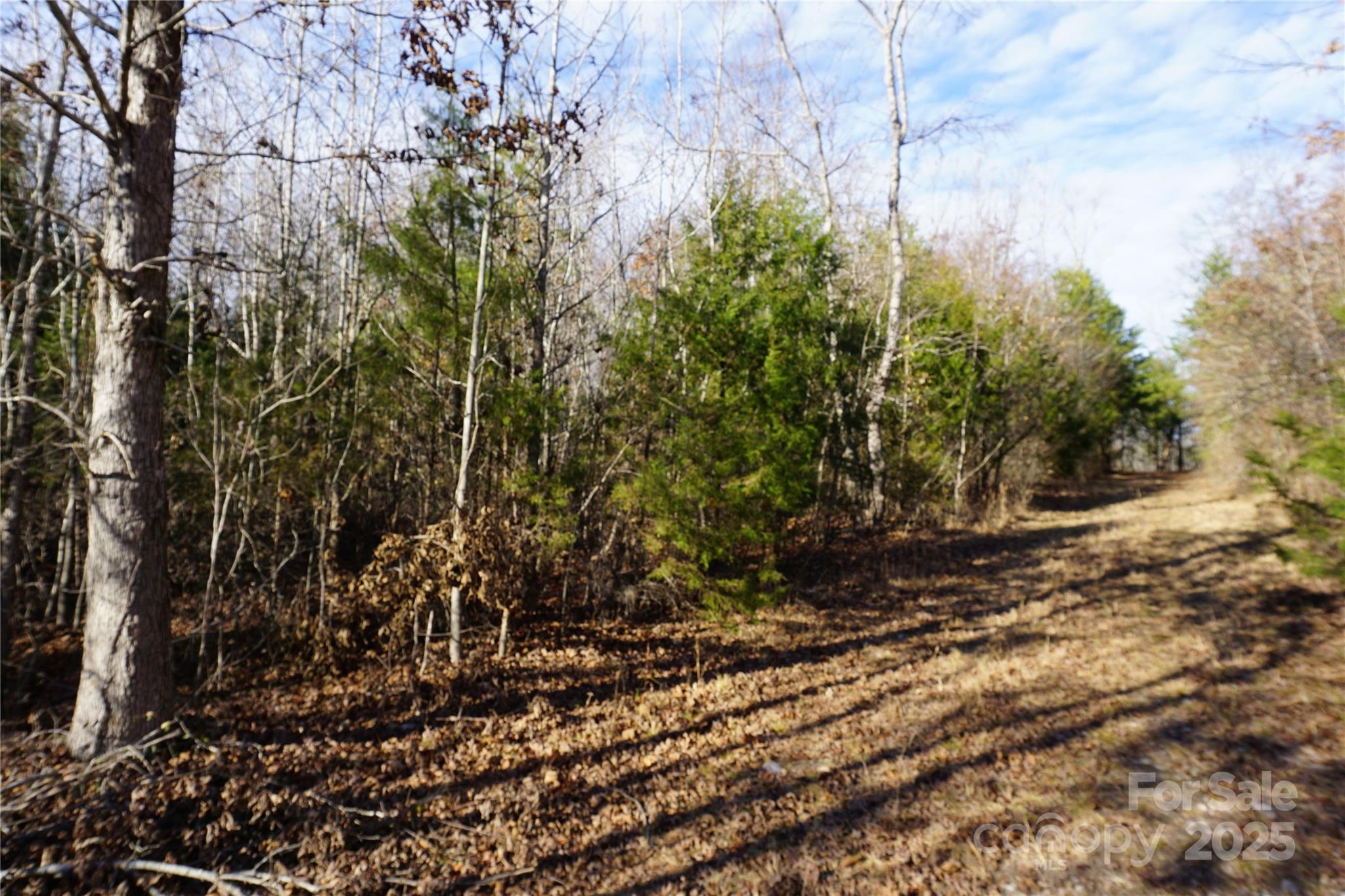14-ac 14-ac Canipe Road, Unit LOT E Blacksburg, SC 29702 - Photo 12 of 16 a view of a yard