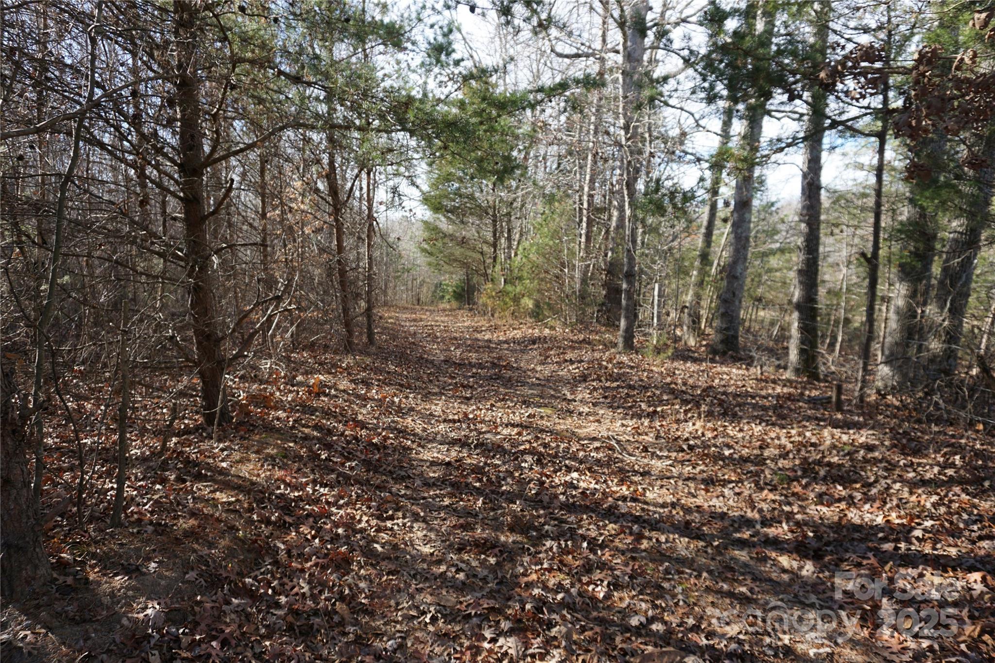 14-ac 14-ac Canipe Road, Unit LOT E Blacksburg, SC 29702 - Photo 14 of 16 a view of outdoor space and yard