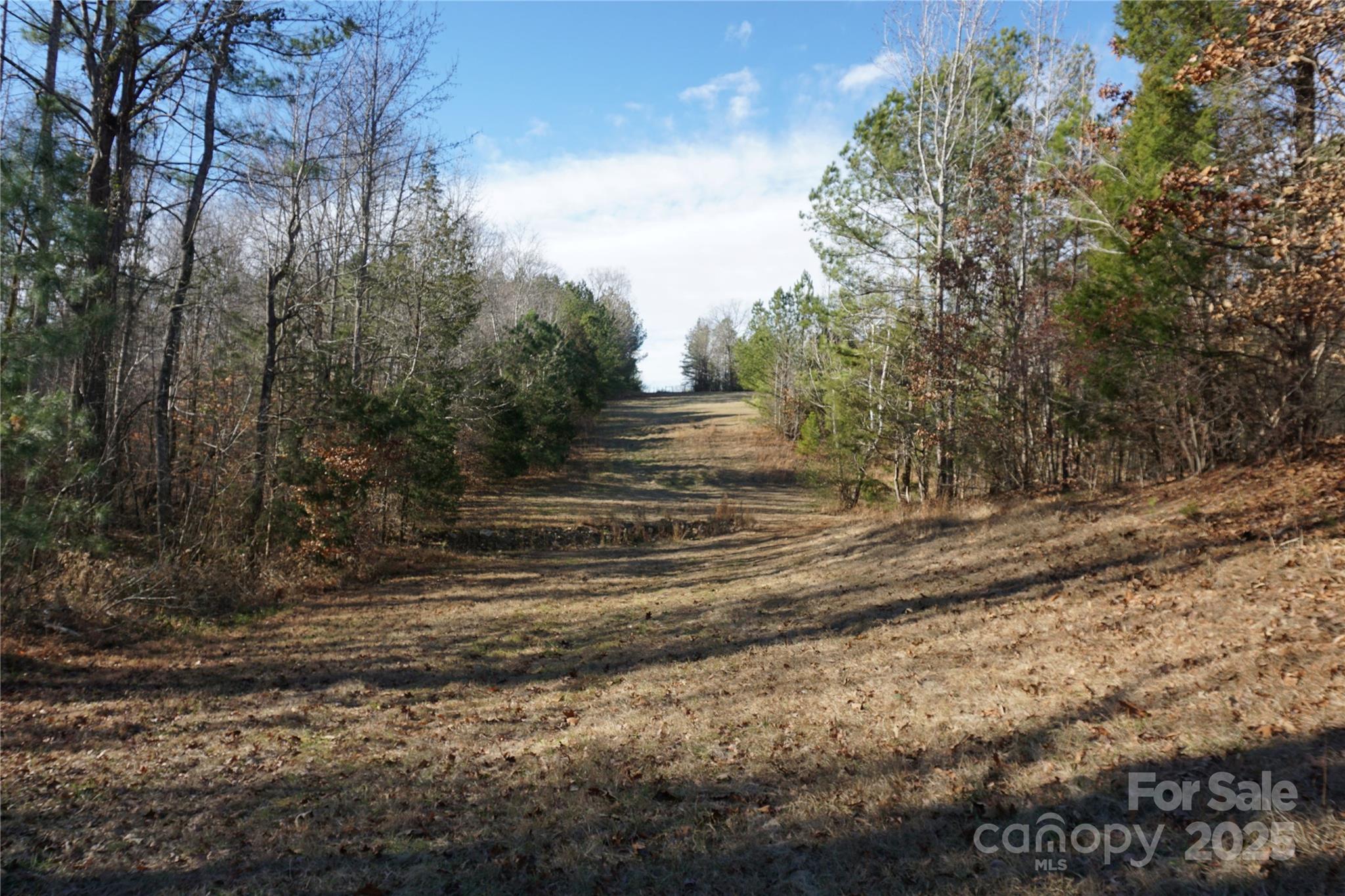 14-ac 14-ac Canipe Road, Unit LOT E Blacksburg, SC 29702 - Photo 15 of 16 a view of yard