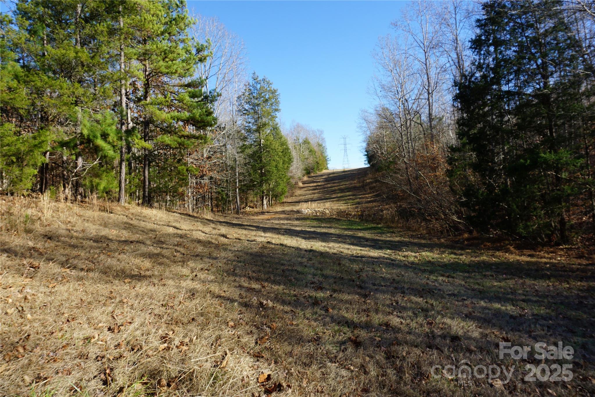 14-ac 14-ac Canipe Road, Unit LOT E Blacksburg, SC 29702 - Photo 16 of 16 a view of dirt yard with trees