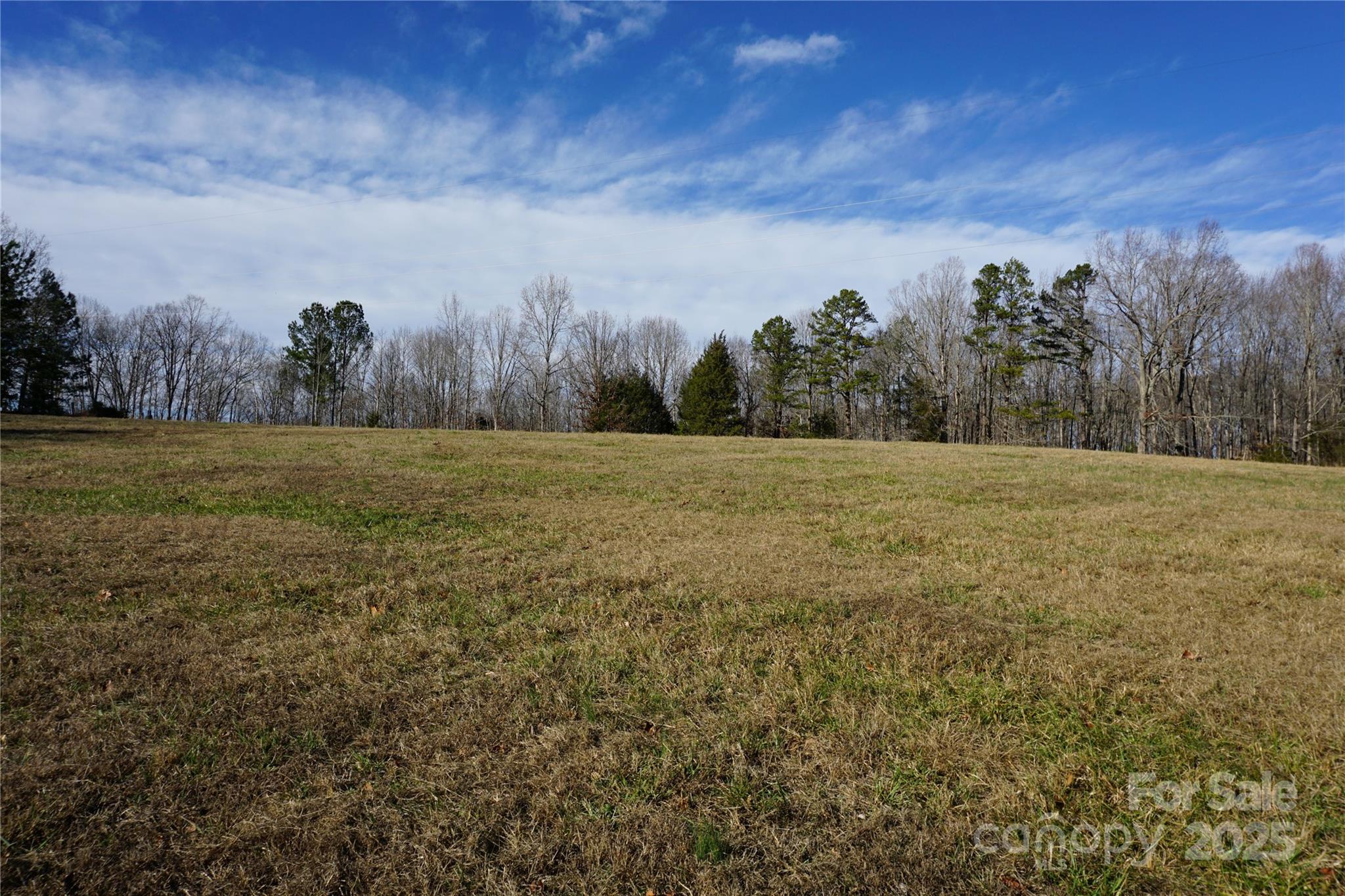 14-ac 14-ac Canipe Road, Unit LOT E Blacksburg, SC 29702 - Photo 2 of 16 a view of a field with trees in background