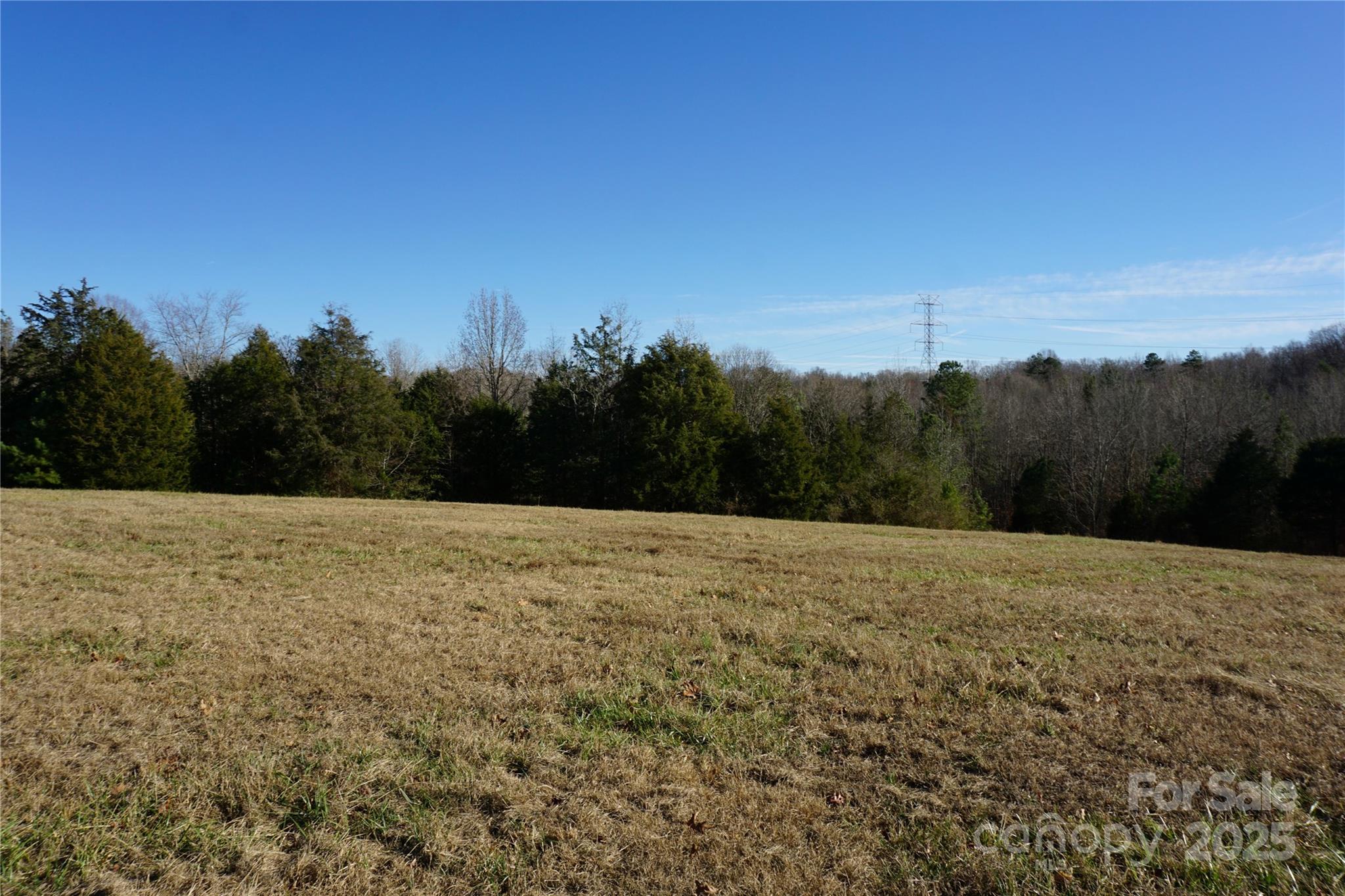 14-ac 14-ac Canipe Road, Unit LOT E Blacksburg, SC 29702 - Photo 4 of 16 a view of big yard