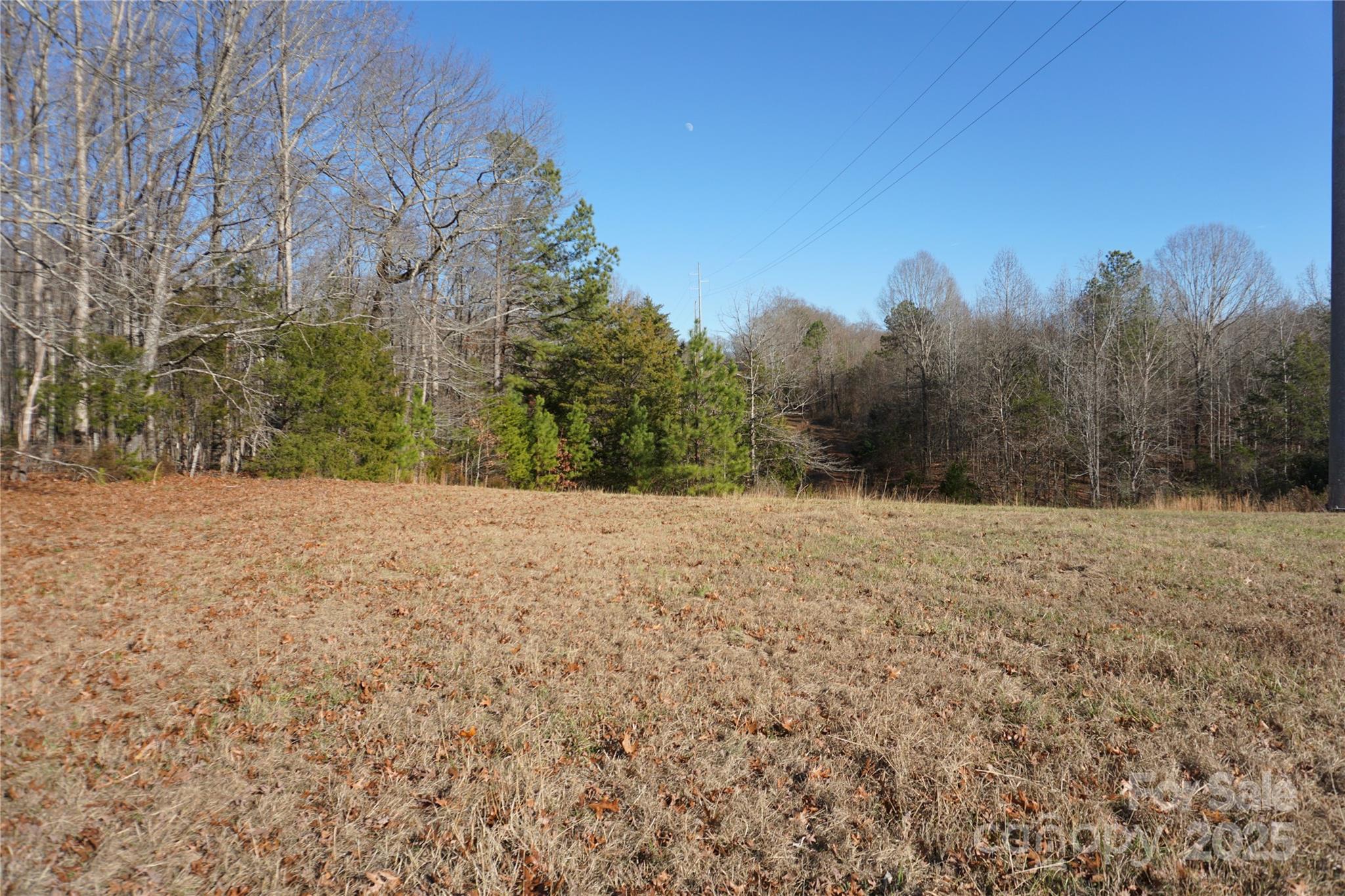 14-ac 14-ac Canipe Road, Unit LOT E Blacksburg, SC 29702 - Photo 6 of 16 a view of mountain view with trees