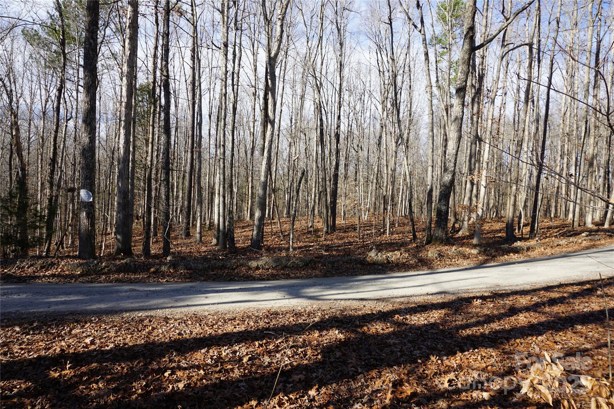 14-ac 14-ac Canipe Road, Unit LOT E Blacksburg, SC 29702 - Photo 8 of 16 a view of a yard with large trees