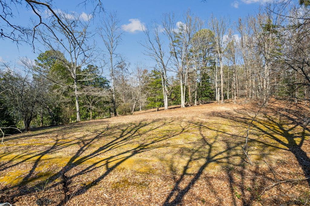 855 Lickskillet Road Epworth, GA 30541 - Photo 34 of 35 a view of a backyard of the house